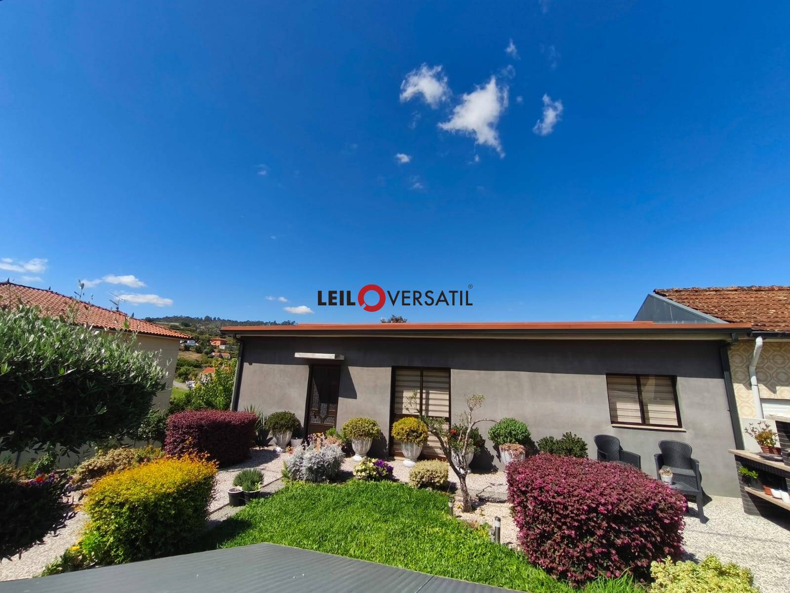 Lote 1