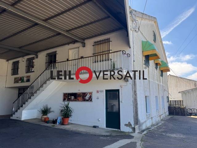 Lote 1