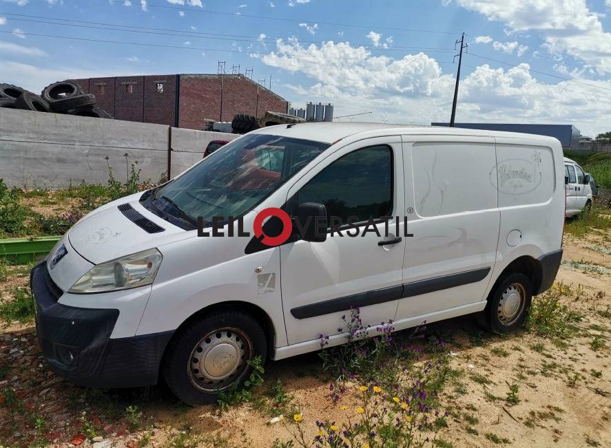 Lote 5