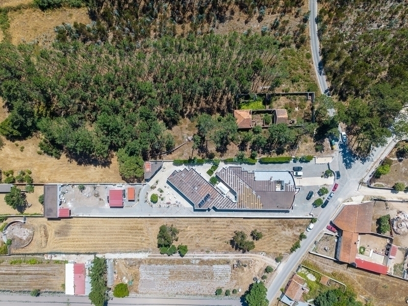 Lote 1