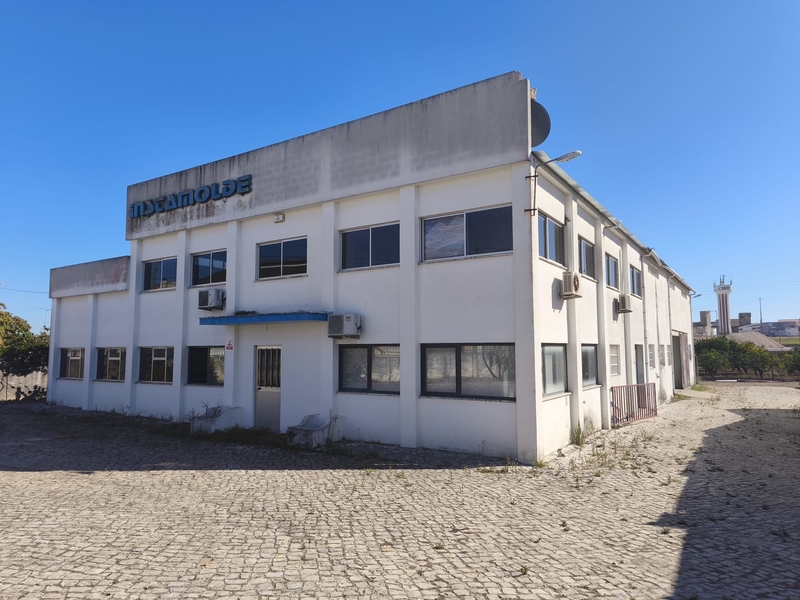 Lote 1